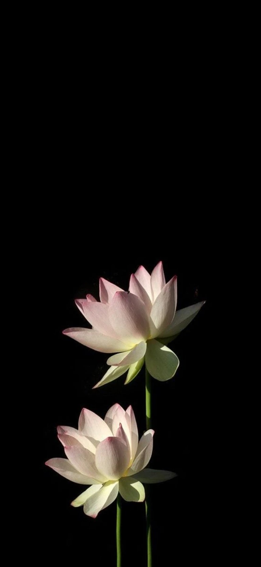 background_image